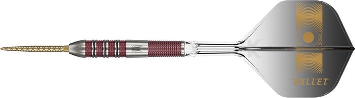 Target Stephen Bunting 95K 95% - Steeldarts – Bild 3