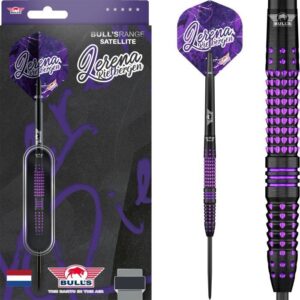 Bull's Lerena Rietbergen 90% - Steeldarts