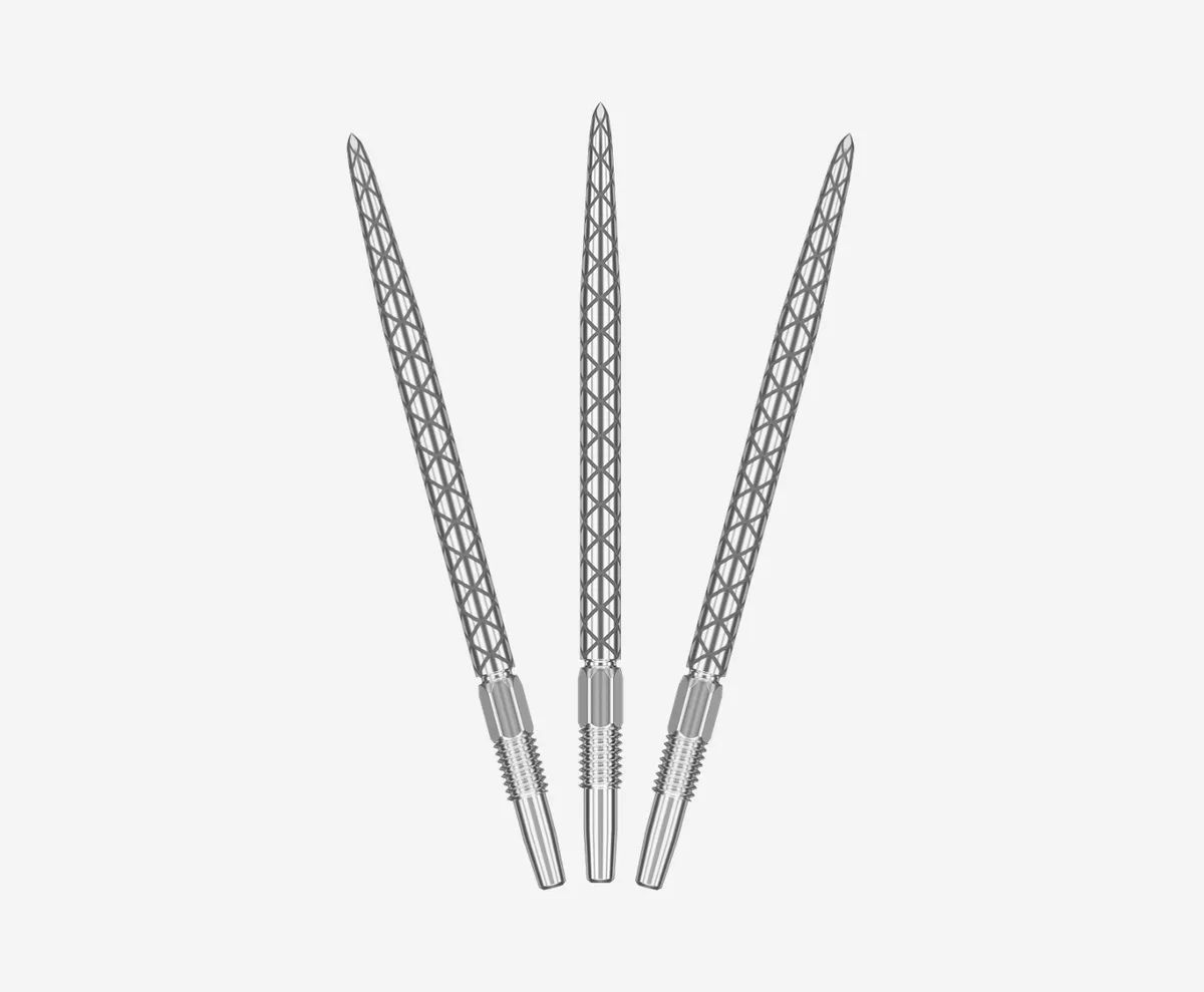Target Swiss Points Diamond Pro Silver – Bild 2