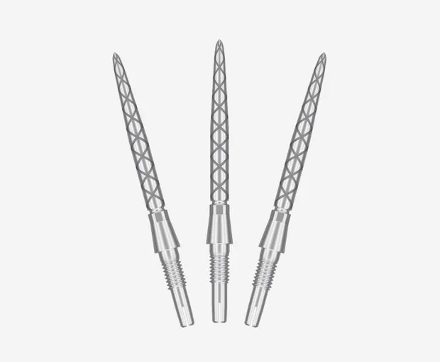 Target Swiss Points Storm Diamond Silver – Bild 2