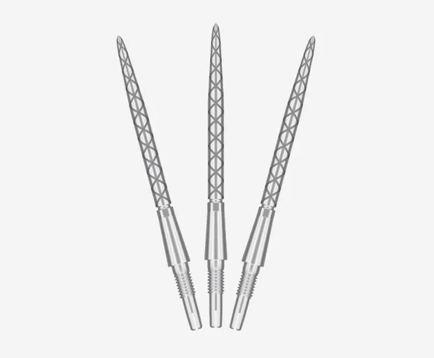 Target Swiss Points Storm Diamond Silver